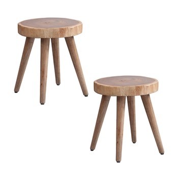 Arcadia Dining Stool (Set of 2)
